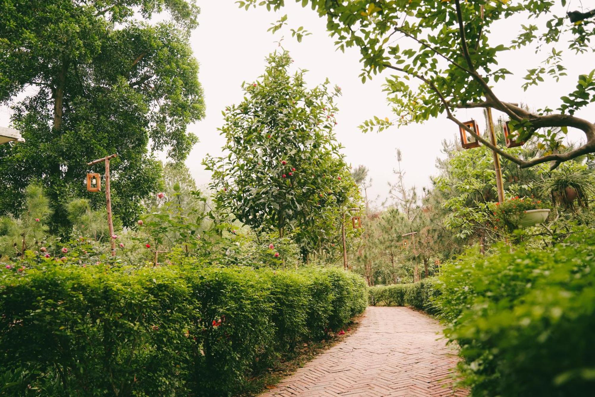 Can Go - Hanoi — Photos 3
